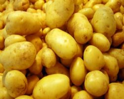 PATATES
