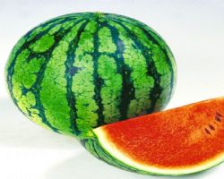 KARPUZ