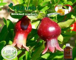 Nar Çekirdeği yağı 