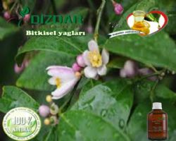 Limon Kabuğu Yağı