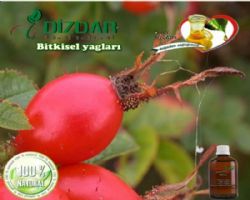 Kuşburnu yağı 