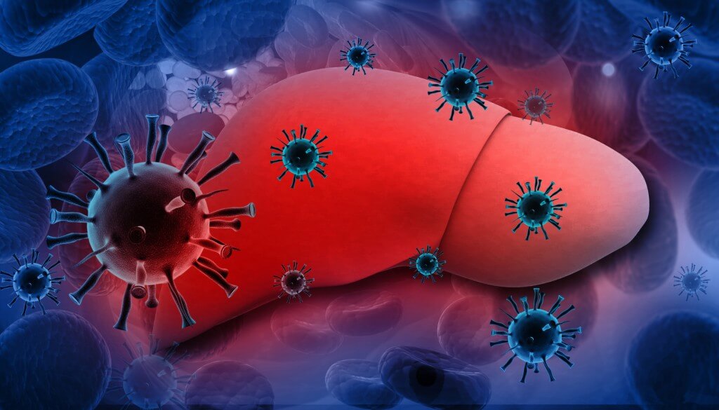 Hepatit B>
